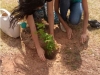 Atividade de arborização da orla de Juazeiro - Projeto Escola Verde - Juazeiro-BA - 26.06.15