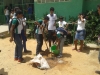 Atividade de arborização - Escola Mãe Vitória - 01.12.14 - Petrolina-PE