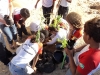 Atividade de Arborização na Escola Carmem Costa, Bairro Alto da Aliança - Juazeiro - BA, 20/09/2013