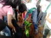 Atividade de Arborização na Escola Bruna Negreiros, N7, Petrolina - PE