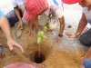 Atividade de Arborização na Escola Ricardina Ferreira, Petrolina-PE - 06.12.13