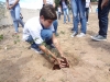 Atividade de Arborização na Escola Pe Luiz Cassiano - Petrolina - PE - 06.05.2014