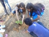 Atividade de Arborização na Escola Rui Barbosa - Juazeiro-BA - 26.05.2014