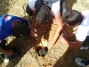 Atividade de Arborização na Escola Misael Aguilar - Juazeiro-BA - 11.06.2014