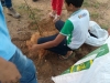 Atividade de arborização - Escola Nossa Senhora Rainha dos Anjos (CAIC) - Petrolina-PE - 09.04.2015