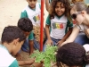4-alunos-da-escola-walter-gil-utilizam-plantas-nativas-para-arborizar-a-escola-30-04-13