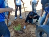 Atividade de arborização - Colégio Estadual Rui Barbosa - Juazeiro-BA - 18.06.15