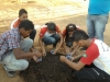 estudantes-preparam-mudas-em-sementeiras-escola-edualdina-damasiojuazeiro-ba-16-10-2012