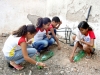 3-alunas-da-escola-bolivar-santanna-juazeiro-mobilizadas-pelo-pev-iniciam-a-construcao-da-horta-vertical-maio-2013
