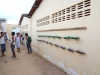4-pev-conclui-o-desenvolvimento-de-horta-escolar-da-escola-bolivar-santanna-juazeiro-17-05-13