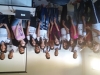 Visita técnica ao viveiro da UNIVASF-CCA - Escola Estadual Dom Malan - Petrolina-PE - 14.04.15